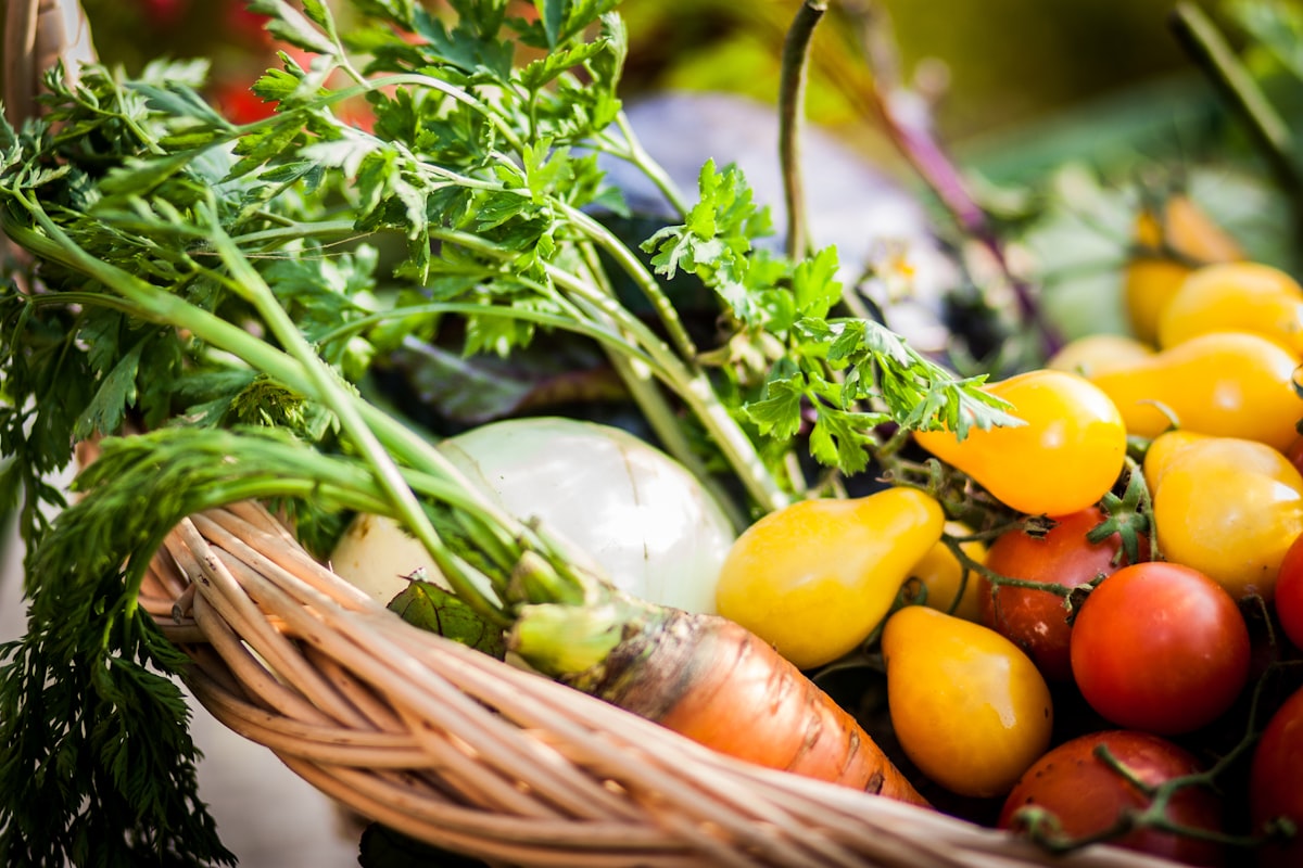 Fruits et légumes biologiques frais